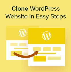 Website Copy and Dublicate - Custom WordPress