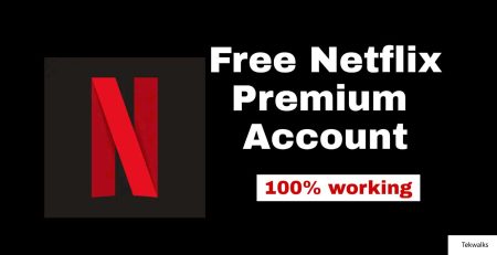How to get Free Netflix Accounts Using Fake credit cards